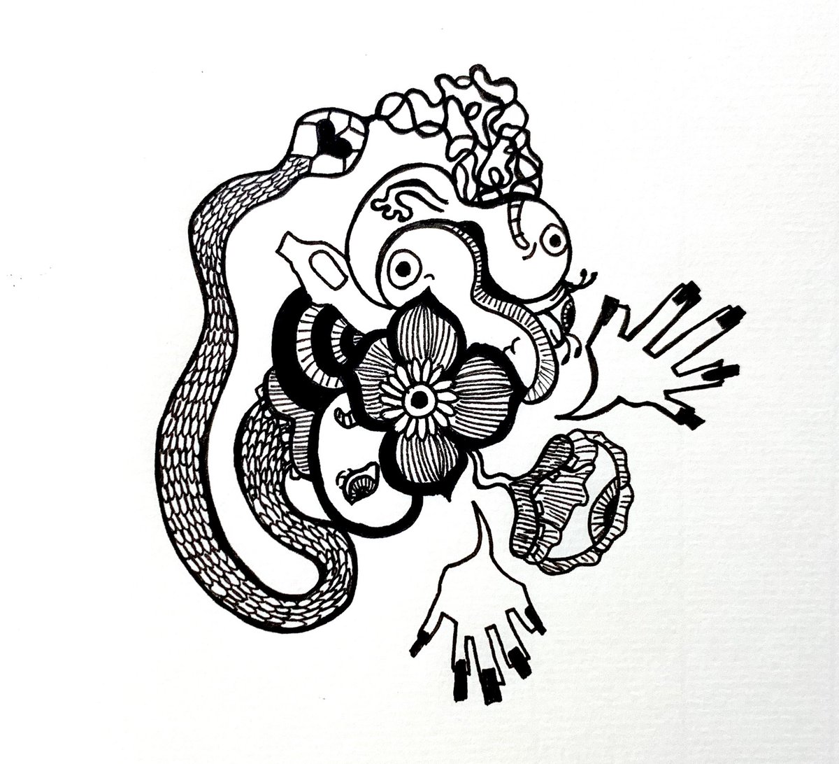 テト ハナミズキ アナログ アナログイラスト イラスト ペン画 ペン画アート ペン画イラスト