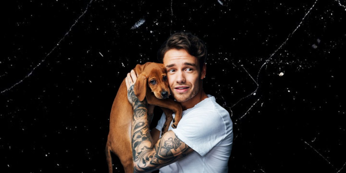 liam payne layouts you can use on his day — a thread