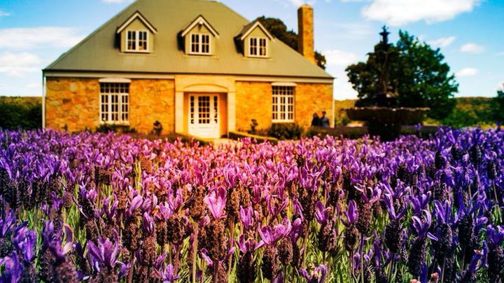 VirisHart's tweet image. Want Instant Curb Appeal on the Cheap? These 6 Easy Tricks Will Cost You Under $200 buff.ly/2C1O7WD