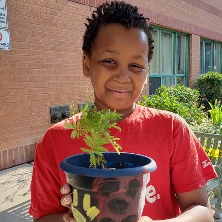 HaltonFood's tweet photo. Last month, #HaltonFood teamed up with #ArtHouse and Steven Botelho to deliver a #virtualgardening and #craftingactivity. Each child painted and planted one pot for themselves, and one to give to a senior! @henhere @GSSHaltonPeel @RegionofHalton #GrowingTogetherHalton https://t.co/gZCHFjKyMx