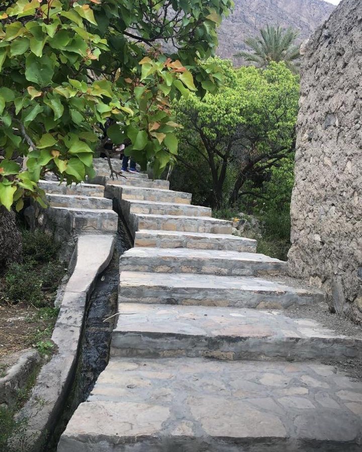 TakemebackOman's tweet photo. Walk around the hidden village Wakan and meet the locals!
Have a great day 😍
#ThursdayMotivation #ThursdayThoughts #FoieGras #DokkanBattle #Covid_19 #rentreescolaire2020 #ปฏิรูปสถาบันกษัตริย์ #rentreescolaire #RENTREE2020 #Amazonie
#اليوم_العالمي_للتصوير https://t.co/sd9qOt8rv1