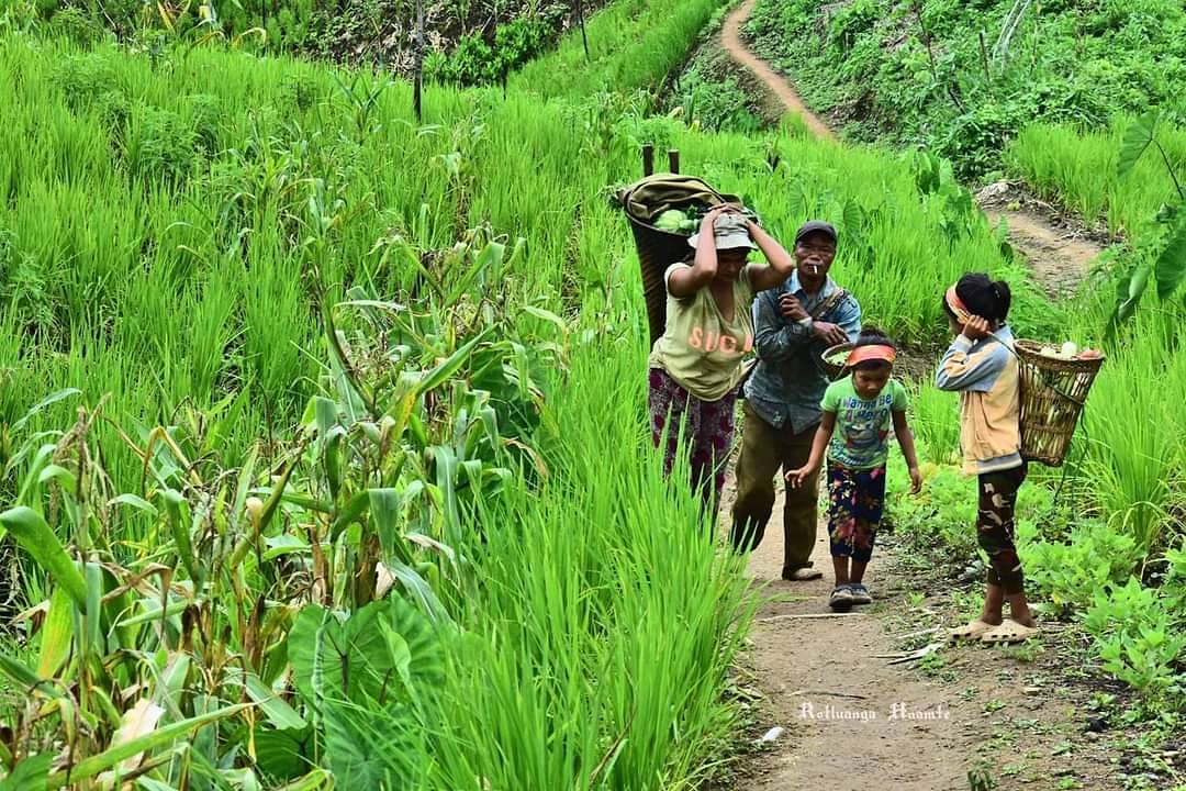 mizoraminsta's tweet photo. Losul haw, Mizoram 📷 @rthnamte
.
.
.
#losulhaw #fehhaw #mizofarmer #farmer #villager #rurallife #kuthnathawktu #kuthnathawk #mizoram #mizoraminsta #villagelife #mizolo #ricecultivation #paddyfield #mizothlawhhma #buhhmun…

📸 https://t.co/rpX1DQKOTx via https://t.co/w819Jm6acn https://t.co/DqYLgPdfP6