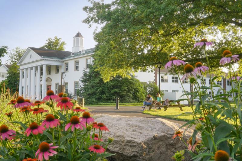 The Princeton Review Names Delaware Valley University to the 2021 'Best in the Northeast' List delval.edu/news/princeton…