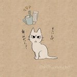 歯磨きが面倒な時ってない？そんな時はしかる猫に叱ってもらおう!