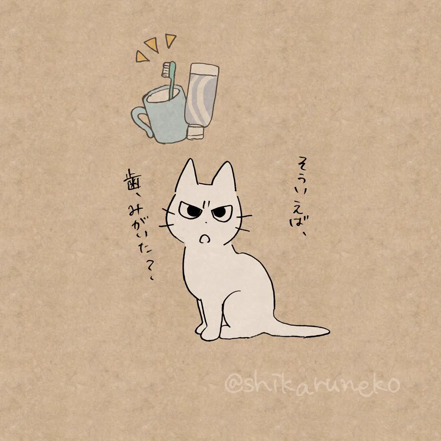 歯磨きが面倒な時ってない？そんな時はしかる猫に叱ってもらおう！