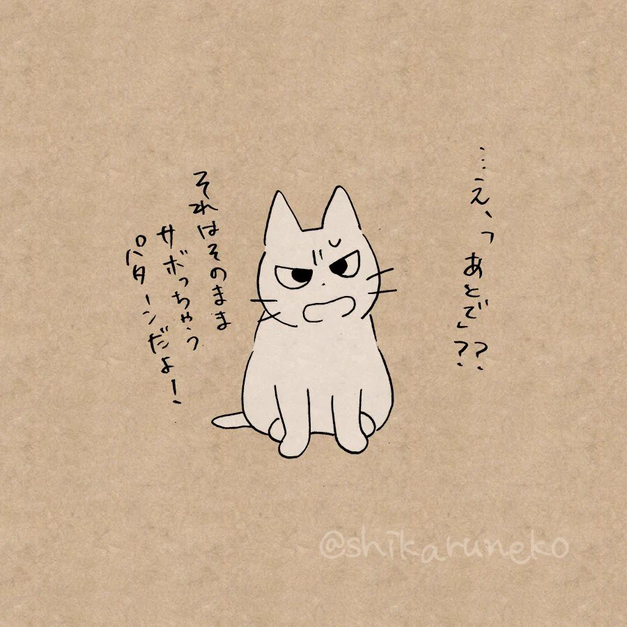 歯磨きが面倒な時ってない？そんな時はしかる猫に叱ってもらおう！