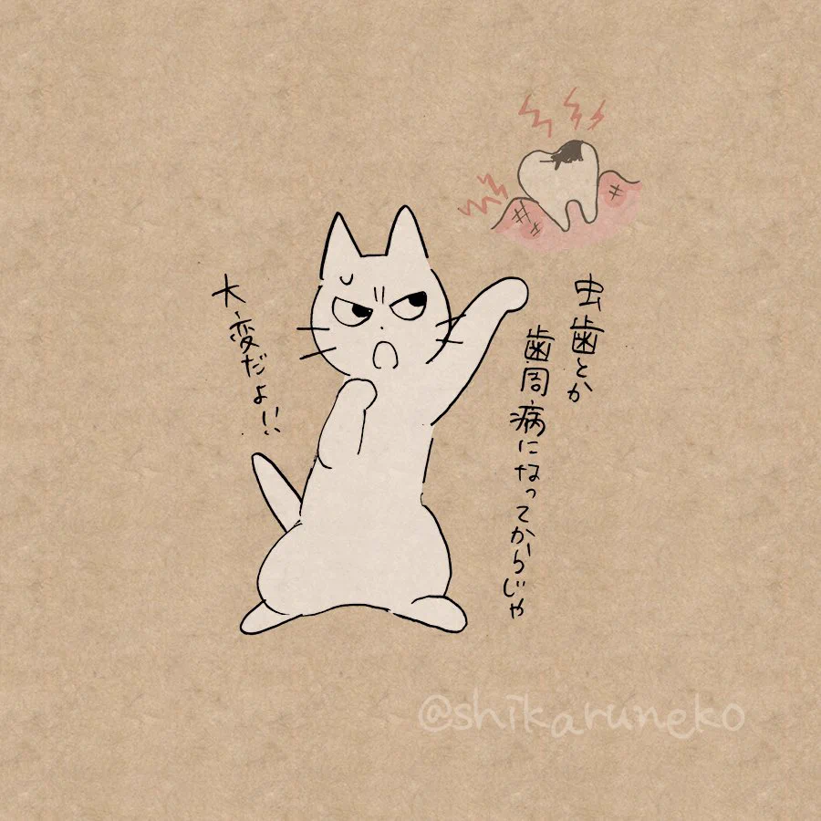歯磨きが面倒な時ってない？そんな時はしかる猫に叱ってもらおう！