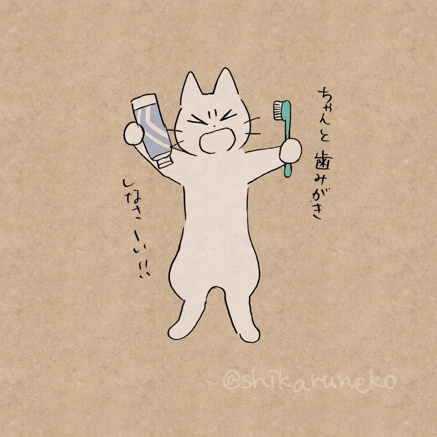 歯磨きが面倒な時ってない？そんな時はしかる猫に叱ってもらおう！
