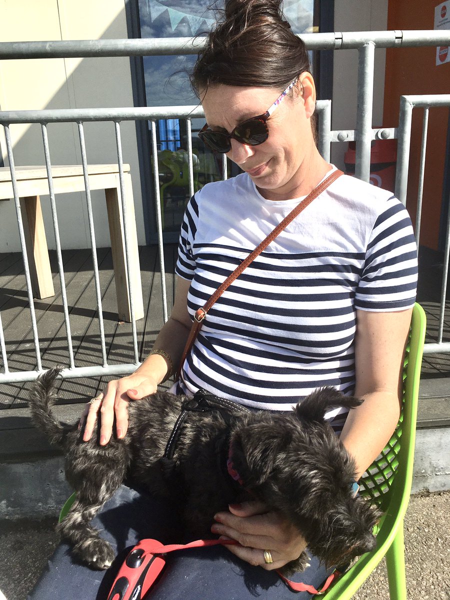 Seashellsfelix's tweet image. Ok I will stop woofin and sit quietly if I can have a bit of sossidge roll! #missbarkalot #viewingpoint