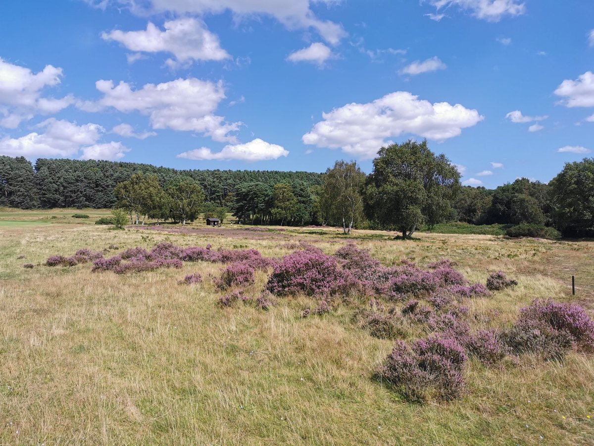 What a difference a day makes @nottsgolfclub a little bit of summer sunshine.