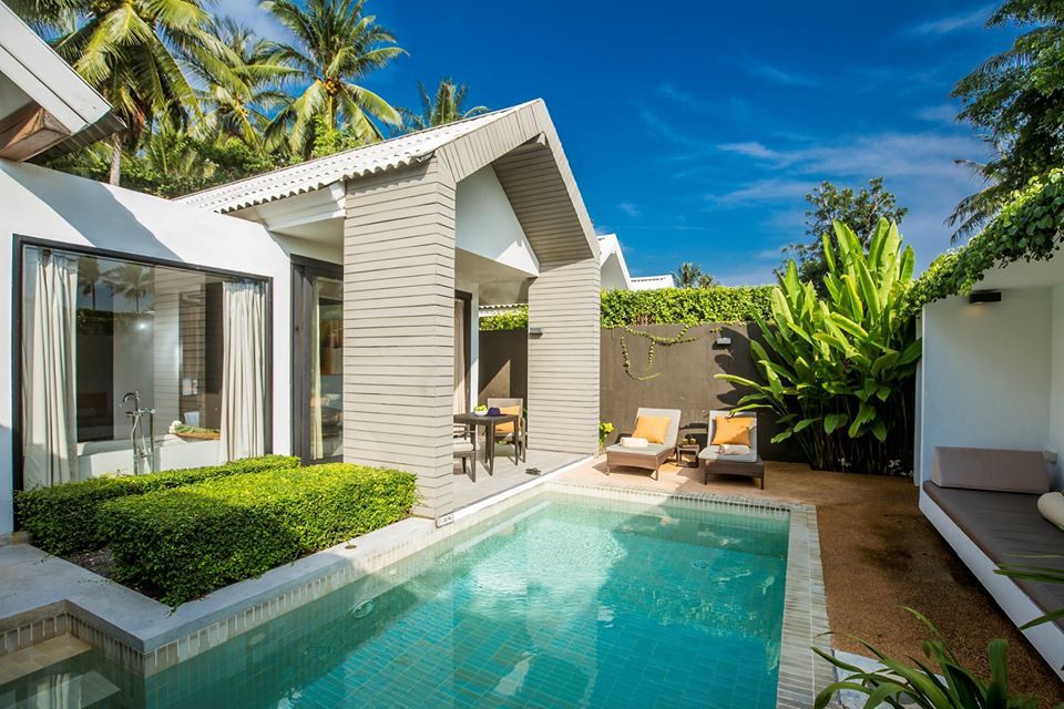 salehere1's tweet photo. 📣 FLASH SALE #7วันเท่านั้น!! กับ X2 Koh Samui ที่มาพร้อมโปรโมชั่นสุดปัง ห้อง Pool Villa สระว่ายน้ำส่วนตัวในราคาสุดพิเศษ!! เพียง 2,499 บาท/คืนเท่านั้น
📍 ติดตามรายละเอียดเพิ่มเติมได้ที่ >> https://t.co/MbRImG3Dsw
#SaleHere #X2samui https://t.co/9o4oCLR3i7