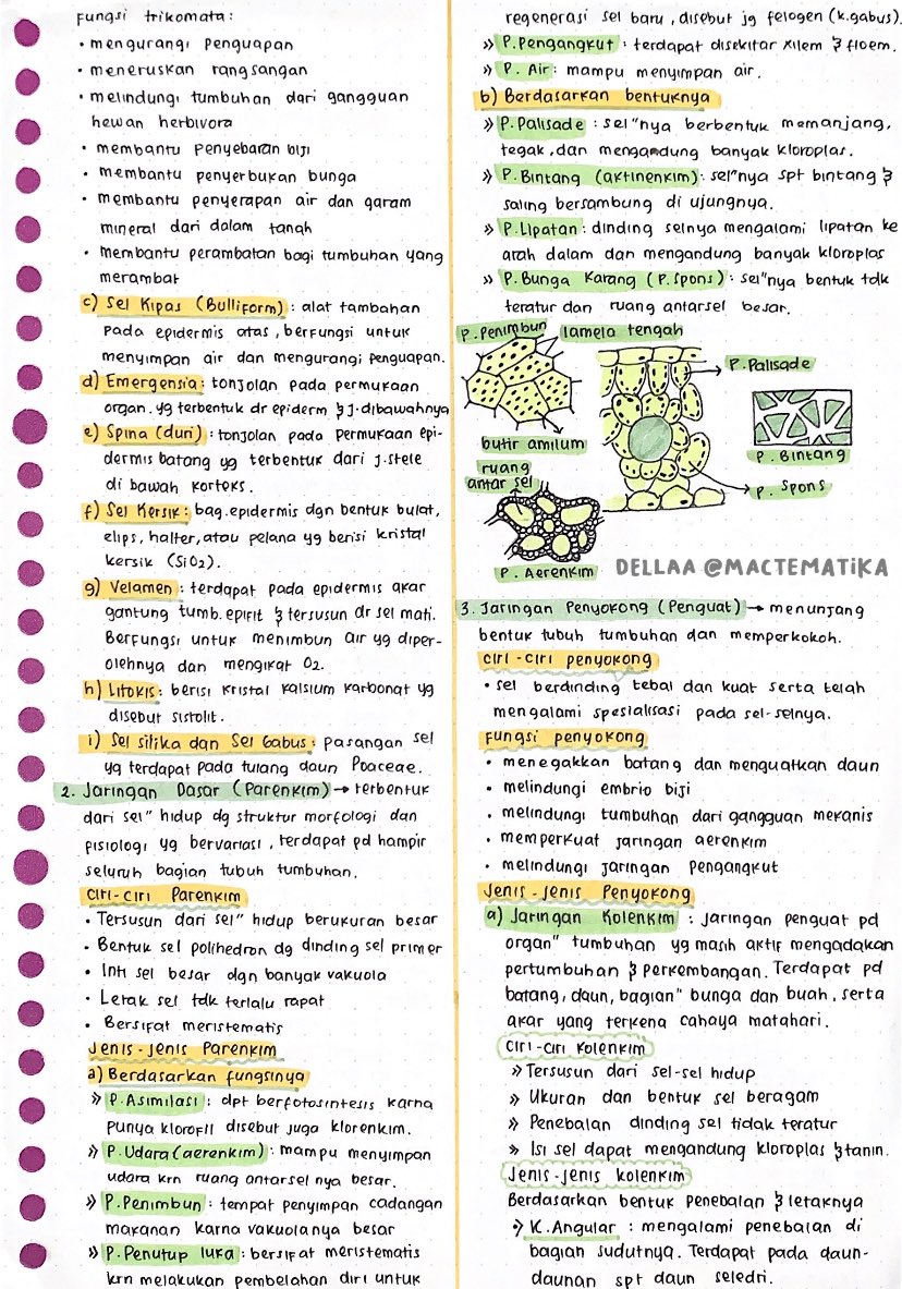 dellaa (@mactematika) on X, image size:828x1183