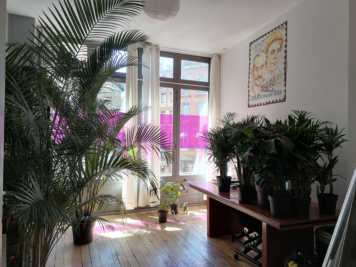 emmazhn's tweet photo. Découverte du nouvel espace @etincelle_tls aux Carmes : c'est un grand WOW 🥰

Lumineux, bien équipé et surtout plein de 🌱🌿🌷

Vous venez visiter ? 👋 

#coworking #toulouse https://t.co/EvZFXrpusL
