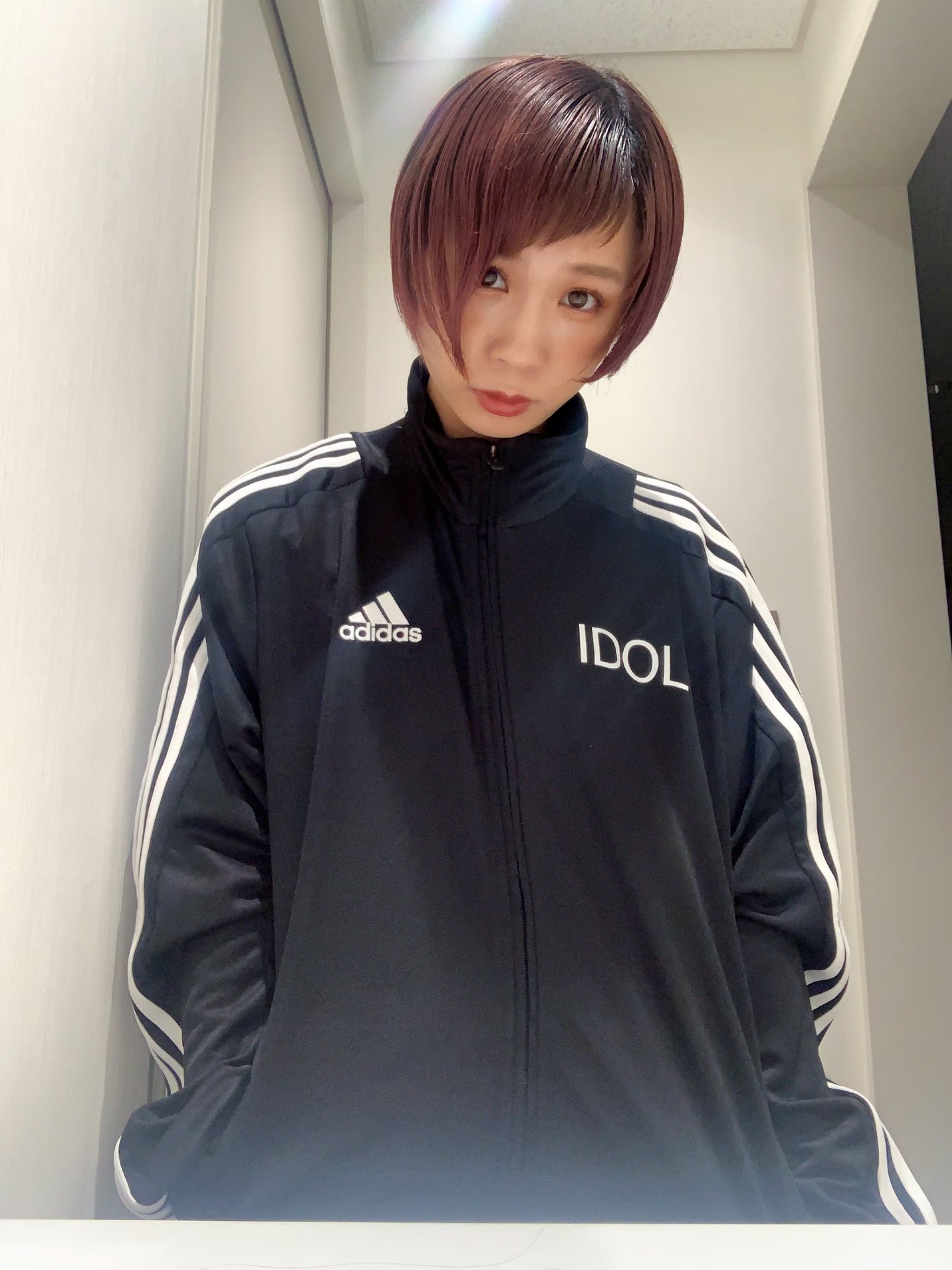 BISH adidas アディダス ジャージ 上下セット コラボ