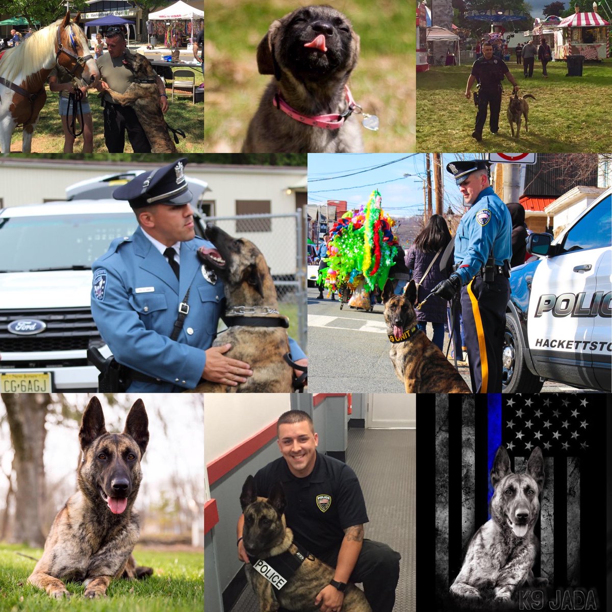 HackettstownPD's tweet photo. It is with deep regret that we announce the unexpected death of our K9 Jada. Jada was working Wednesday night when she suffered a medical emergency. Jada was rushed to a veterinary clinic where she passed in the company of her handler Officer Christopher Laver. https://t.co/51TeCw1ljV