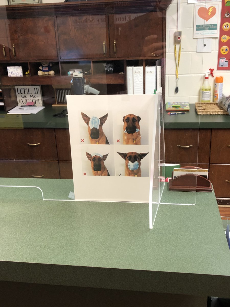 Today we welcomed our group B students back to school! Everyone is doing a great job with wearing face masks, even our pets! #winnerstogether #ExcellenceandCreativity