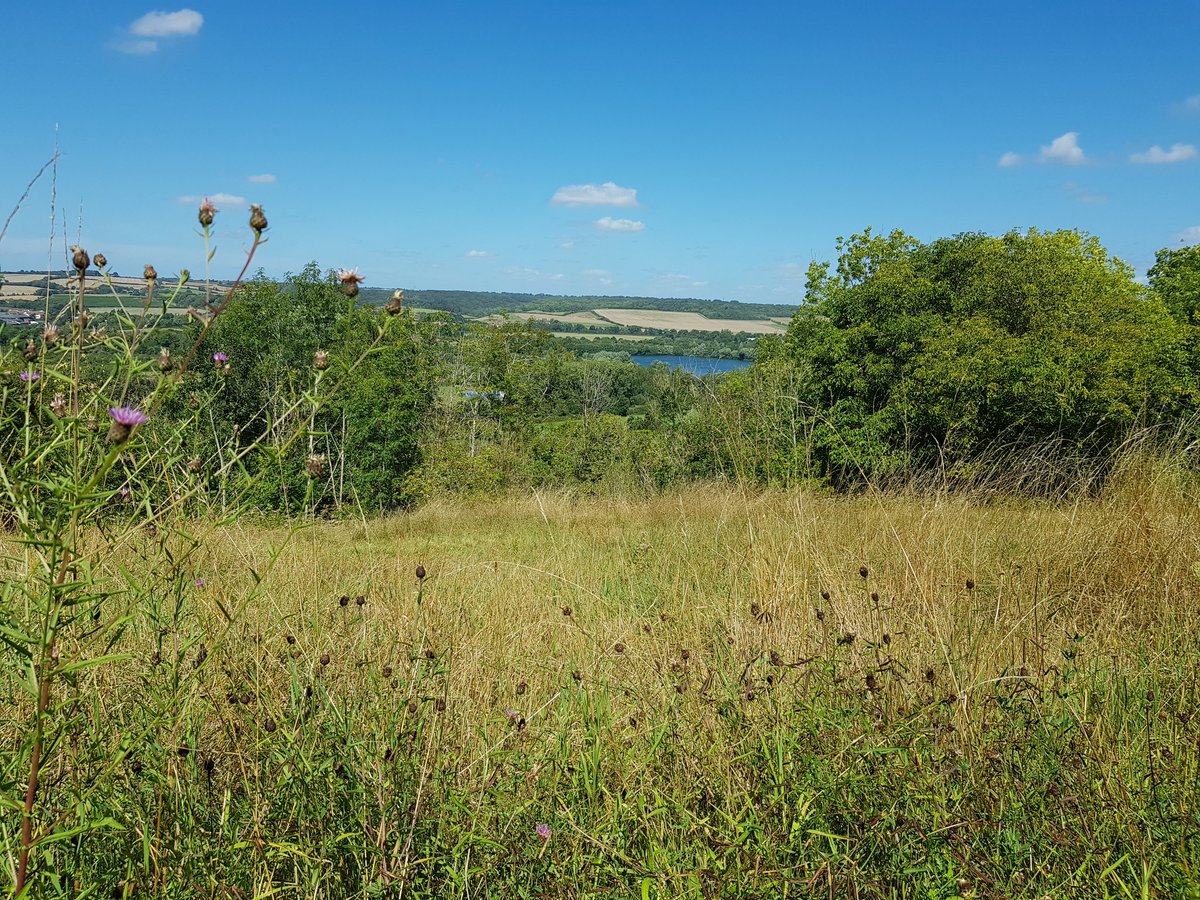 MCC_NT's tweet photo. Amongst knapweeds; wildflowers and grasses; this #perfectpicture is so peaceful; yet so meaningful. With our vista's greenery enhanced against clear blue skies; our volunteers splendid efforts with our late summer grass cut are going well. A #perfectday with the @nationaltrust https://t.co/1xjr5nkJpS