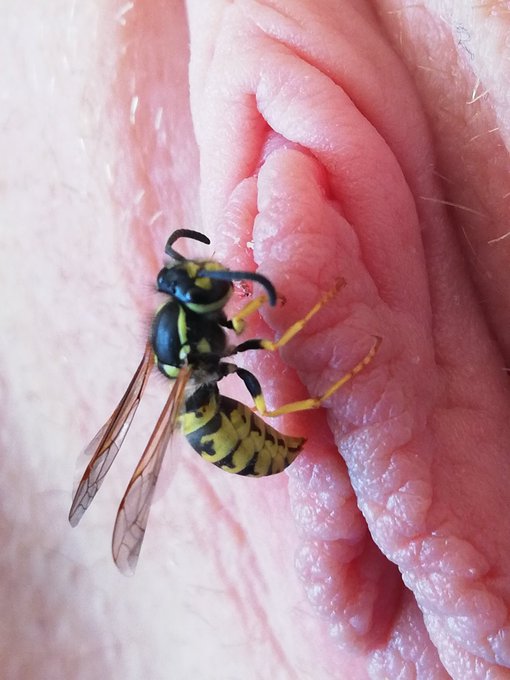 Fini les campings naturistes !!! 😭 L'ann&eacute;e prochaine direction le p&ocirc;le nord et les pingouins. https://t<a href="/tag/feet"class="tags"><span>#feet</span></a><a href="/tag/shibari"class="tags"><span>#shibari</span></a><a href="/tag/rousse"class="tags"><span>#rousse</span></a>