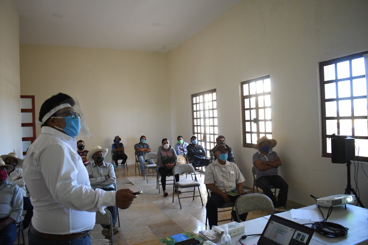 IsaacGDC's tweet photo. Santa Inés Ahuatempan, Puebla. Con todas la recomendaciones sanitarias ante el COVID 19, realizamos el taller: Herramientas de diagnóstico - Fertilización integral del cultivo de maíz. Con objeto de realizar una fertilización adecuada considerando las 4 R. #LaAgriculturaSigue https://t.co/u7bFssEepL
