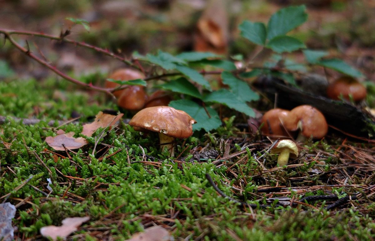 Jarosław tweet media