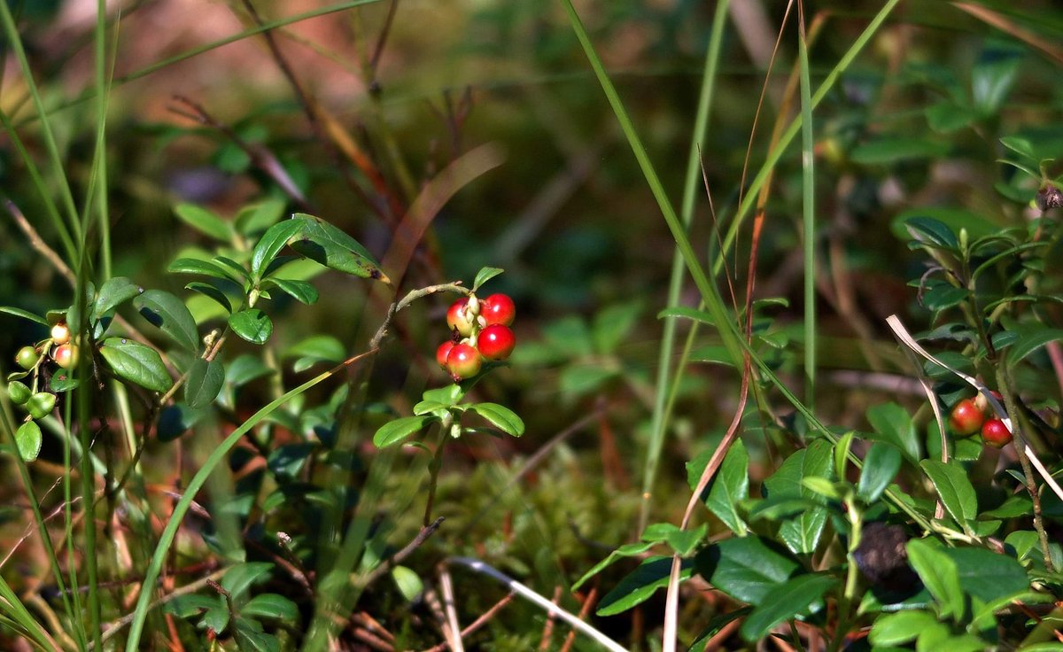 Jarosław tweet media