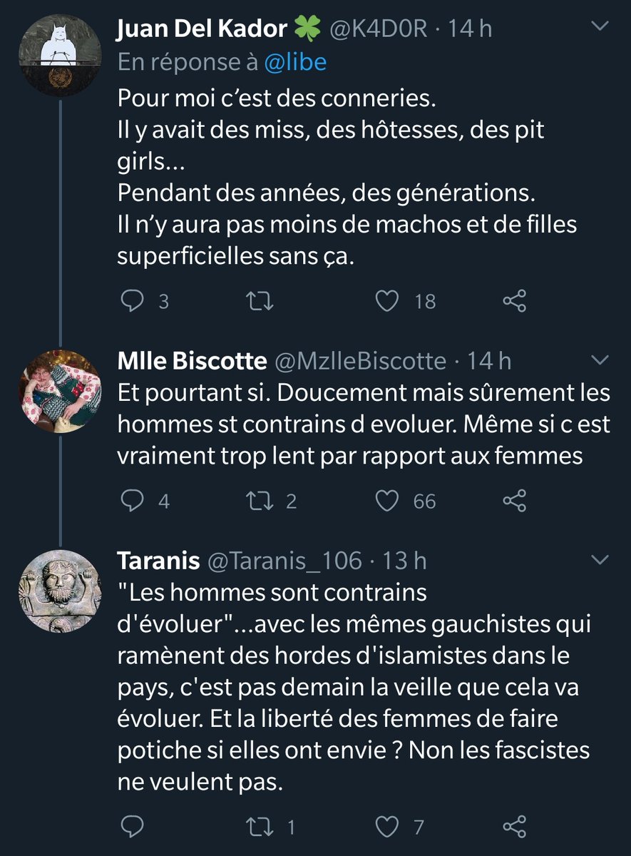 Je ne saurais passer sous silence ce dont personne n'ose parler : ces fausses féministes moches ET gauchistes œuvrent ardemment à l'islamisation du pays ! Adieu mini jupe et short qui étaient autant d'invitations à la drague et la fornication ! Maintenant c'est burka et voile 