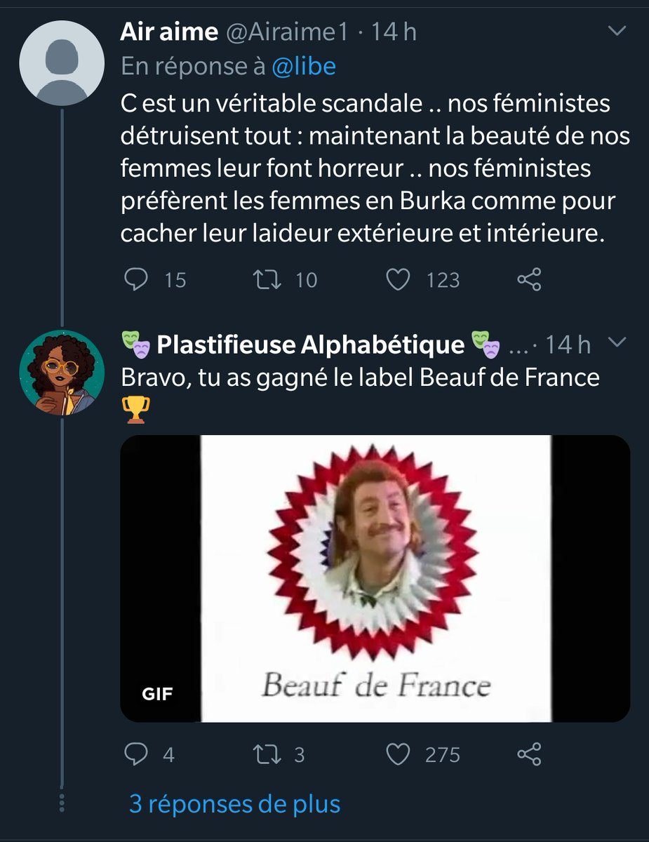 Je ne saurais passer sous silence ce dont personne n'ose parler : ces fausses féministes moches ET gauchistes œuvrent ardemment à l'islamisation du pays ! Adieu mini jupe et short qui étaient autant d'invitations à la drague et la fornication ! Maintenant c'est burka et voile 