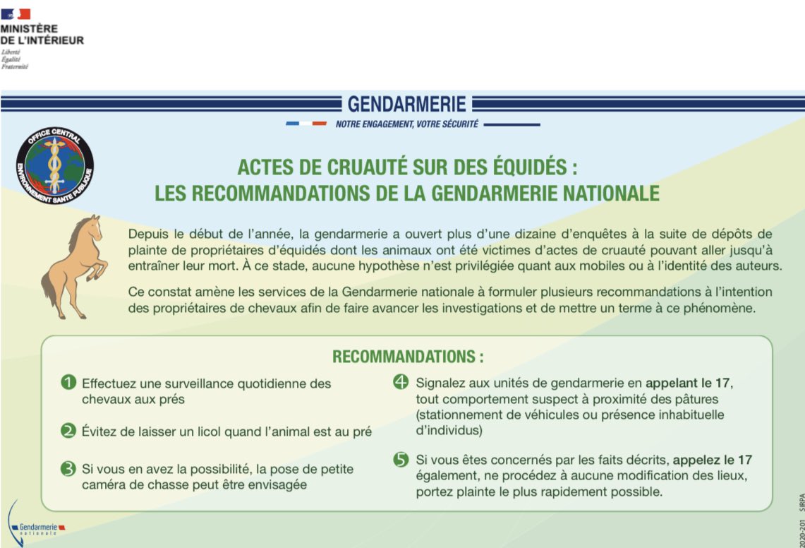 ‼️⚠️🐴⚠️‼️Actes de cruauté sur les équidés : les recommandations de la gendarmerie nationale 👮🏻‍♀️🔍