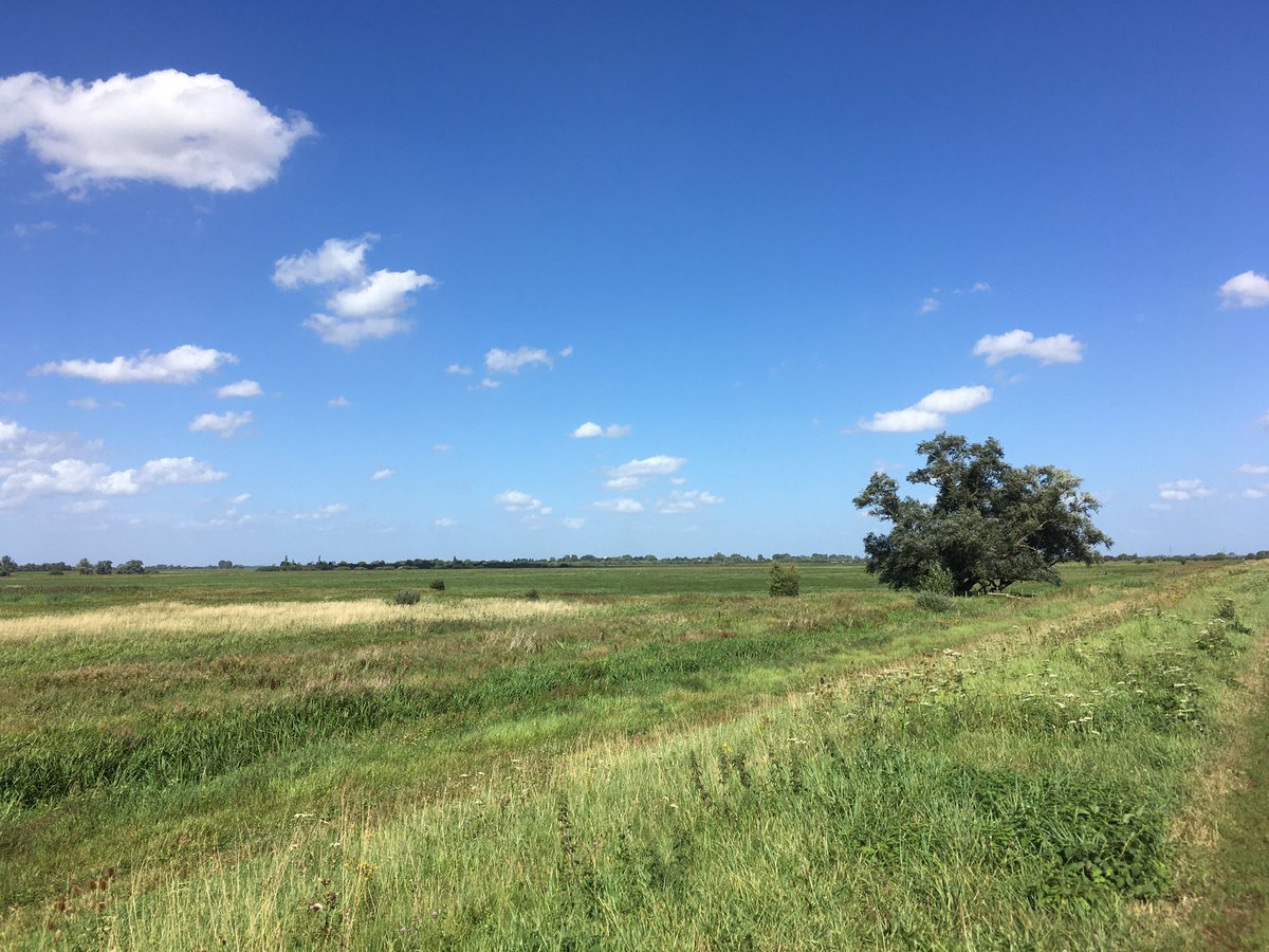 GuyPortman's tweet photo. What a lovely day. #TheWashes #Norfolk #Walking https://t.co/PnJdpcUiex