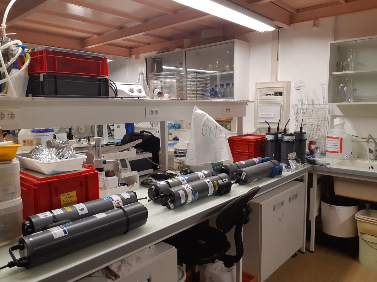 3NuriaTeixido's tweet photo. 11 high-resolution pH sensors waiting to be tested and calibrated. We can't wait to see the data! @jpGattuso, @ComeauSteeve, @FredGazeau, @3NuriaTeixido, @IMEV_mer, #CocoriCO2 project, @4Oceans-mopga project https://t.co/bdd9itQfDc