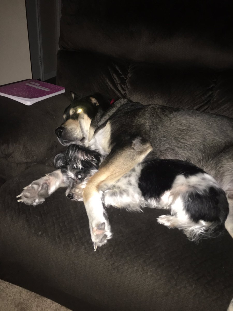 Zell Miller, III tweet media