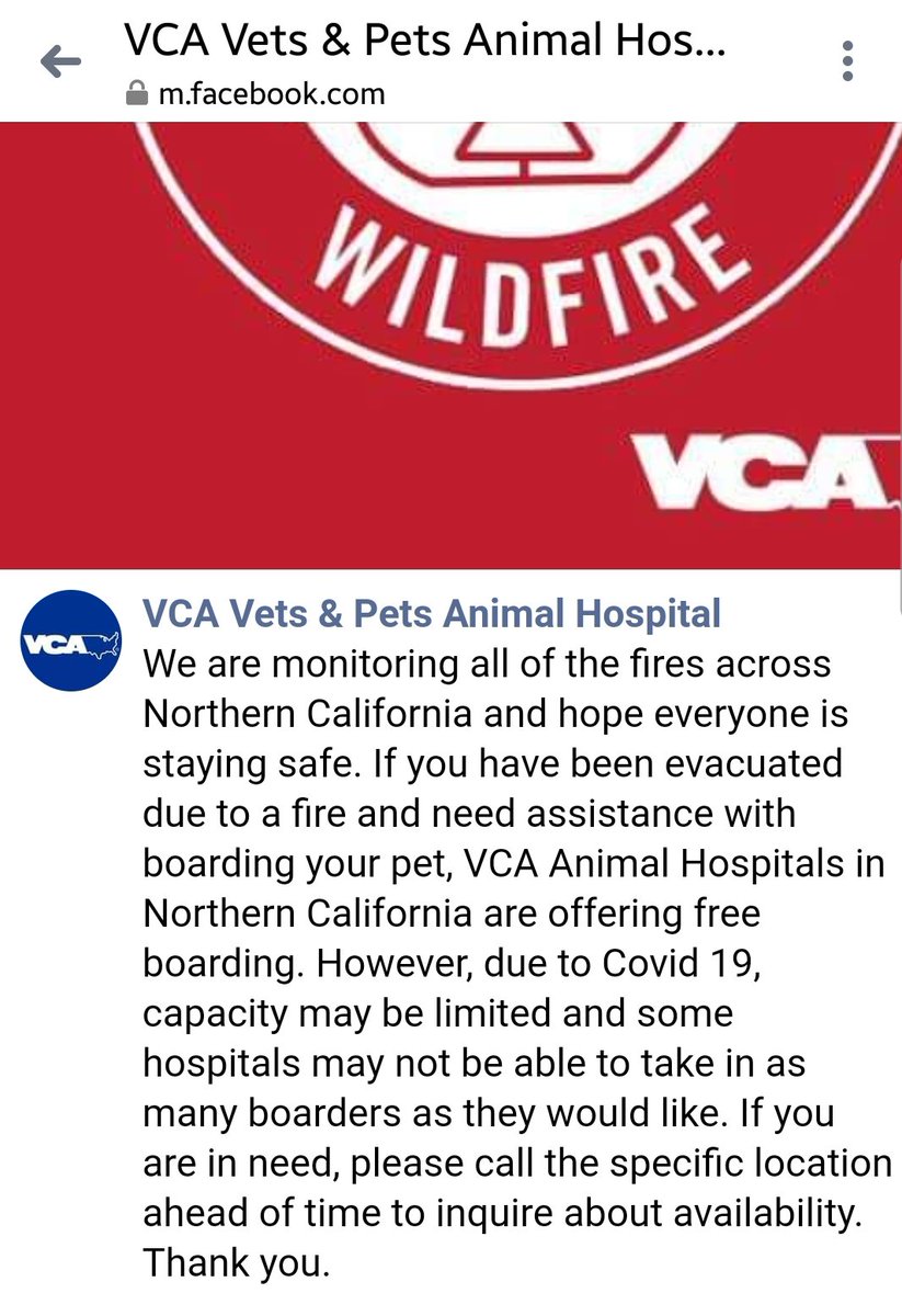  #LNULightningComplex #Animals  #Pets  #Cats  #Dogs Locate VCA Animal Hospitals closest to you:  http://vcahospitals.com/find-a-hospital/location-directoryPost  http://m.facebook.com/VCAVetsPetsAnimalHospitalSantaClaraCA/photos/a.448527485332279/1454487518069599/?type=3&d=m #BayArea  #SolanoCounty  #DAT  #SonomaCounty  #NapaCounty  #YoloCounty  #LakeCounty  #California  #CaliforniaFires  #ButteLightningComplex