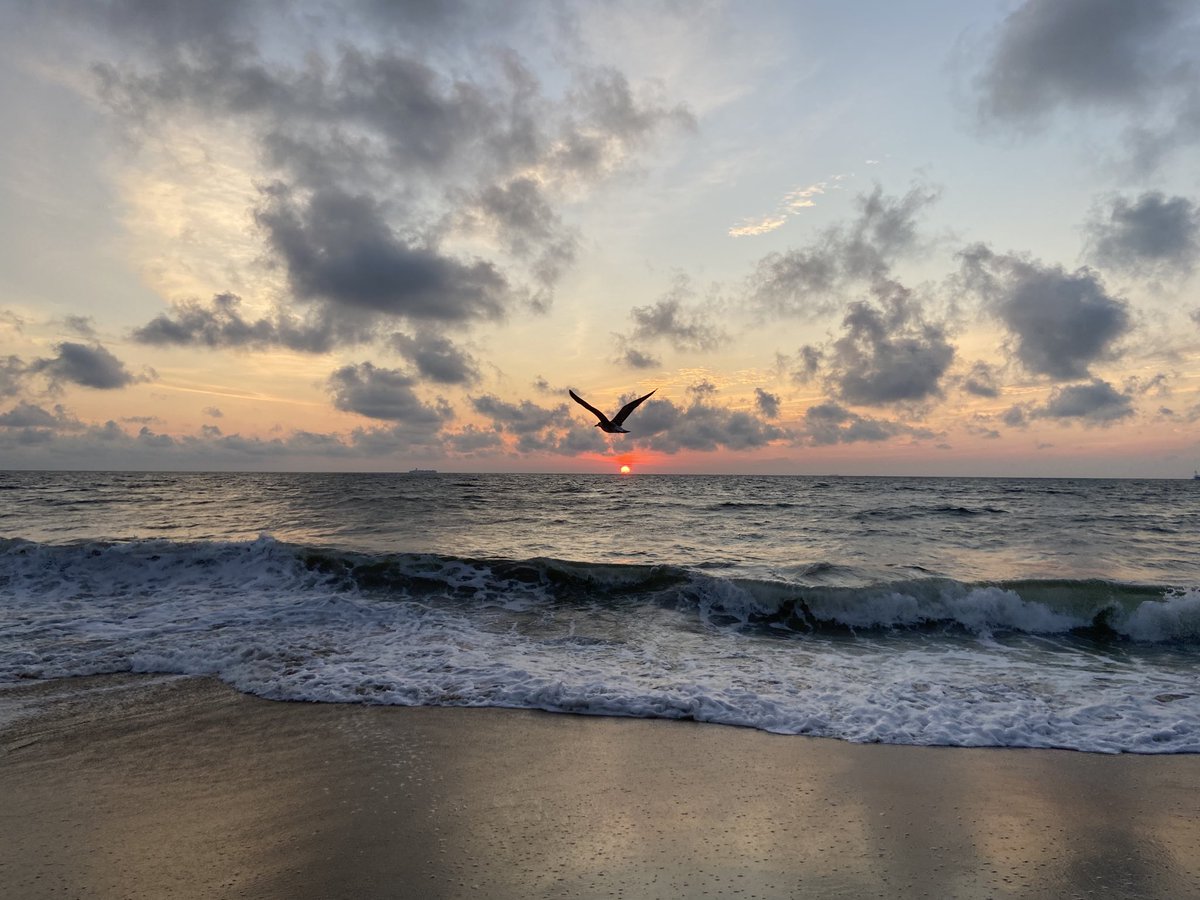 Robin Latchford tweet media