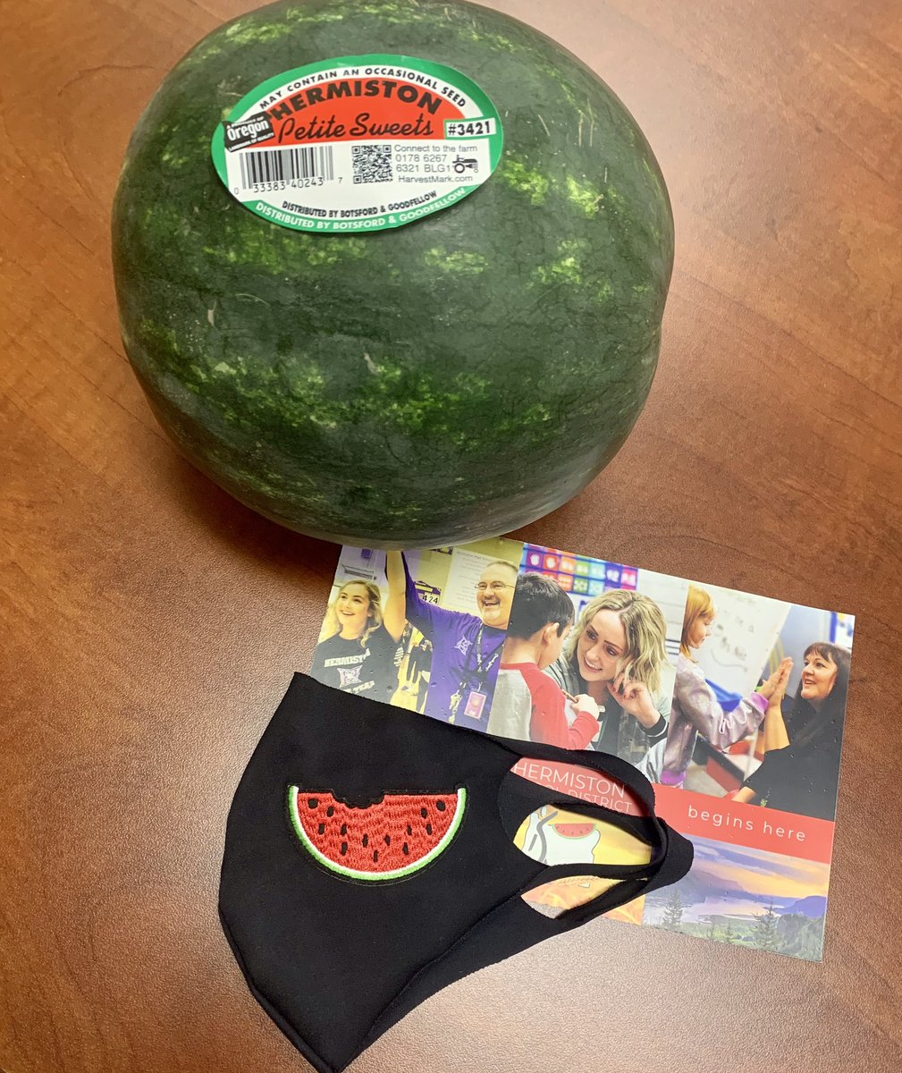 bryn_browning's tweet photo. Day 3 with Hermiston new teachers!  Each are one in a melon!  Welcome!  #teacherinductionprogram2020 @RigorRelevance @HermistonSD https://t.co/FsI0rl7wPR