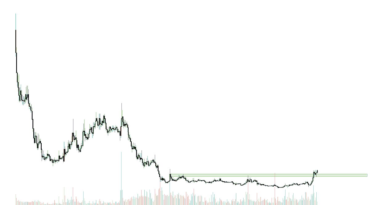 HornHairs 🌊 tweet media