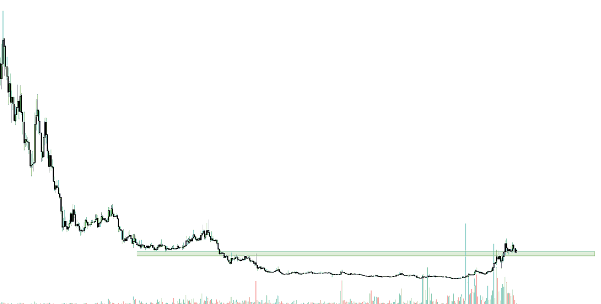 HornHairs 🌊 tweet media