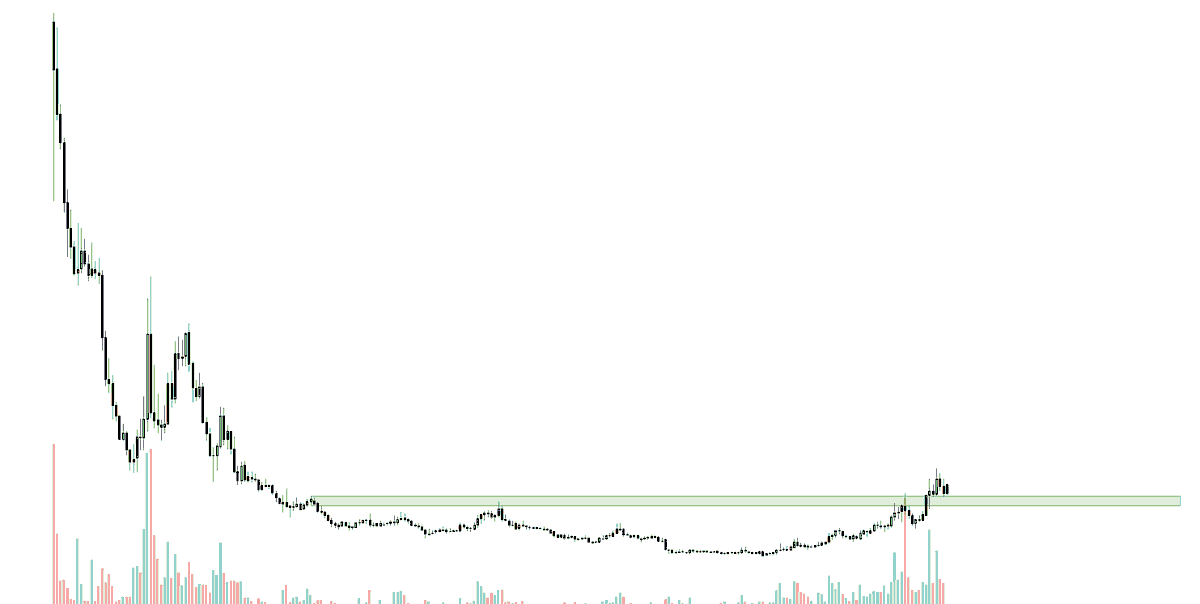 HornHairs 🌊 tweet media