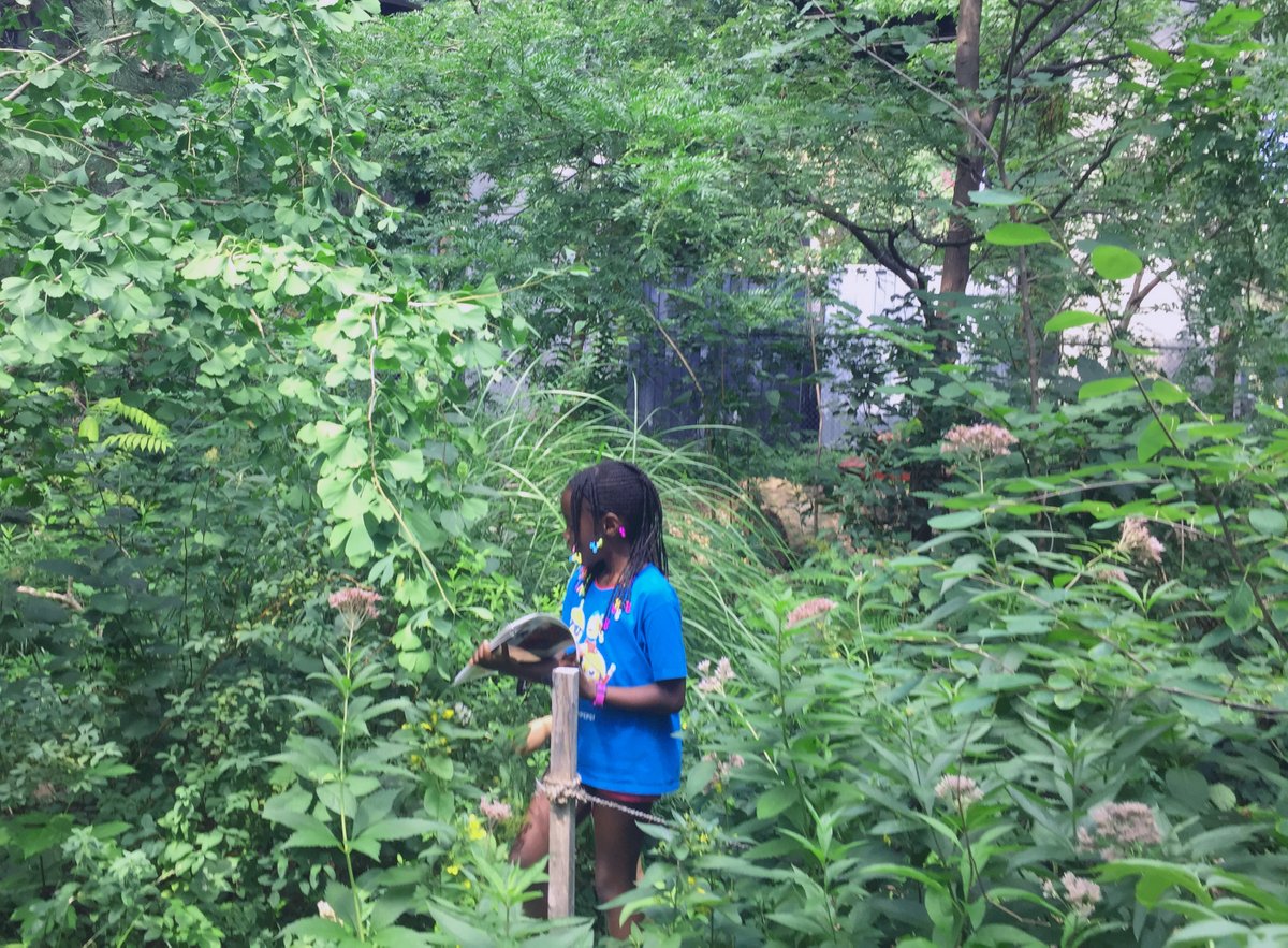 sentierurbain's tweet photo. 🌞La rentrée approche  à grands pas - voici un aperçu de l'École de la forêt 2020, qui a pris fin la semaine dernière...
🌳Merci à nos partenaires, qui nous ont permis de maintenir nos activités de sensibilisation et d'éducation auprès des jeunes! https://t.co/kQJioBDcie