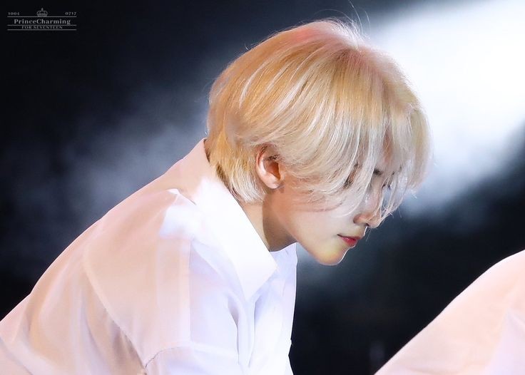 JEONGHAN'S SIDE PROFILEA thread;