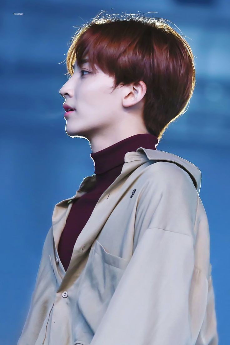 JEONGHAN'S SIDE PROFILEA thread;