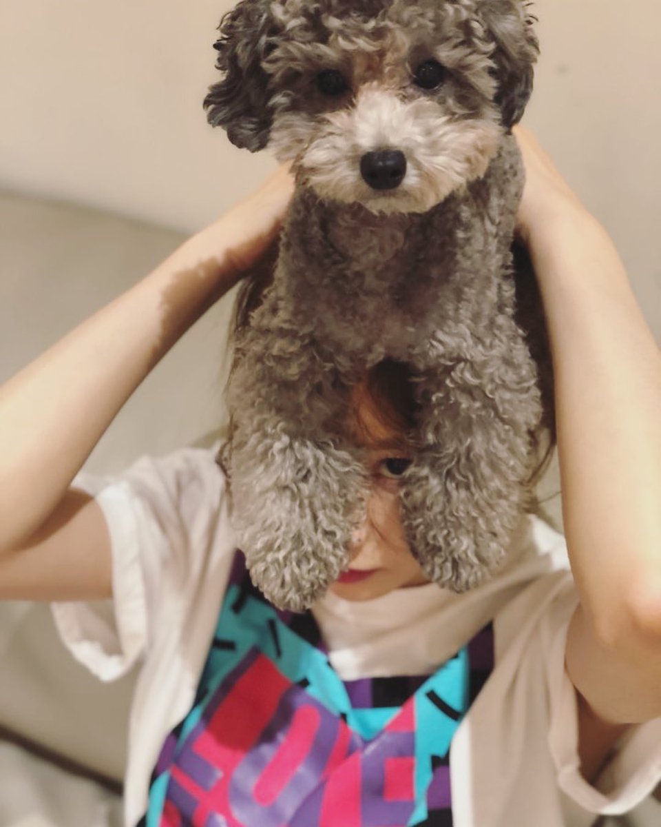 tttae_309's tweet photo. ゼロや〜〜〜
3才おめでとう🌺🤍💙
これからもてよんちゃんと
一緒にいてね💞💞💞 https://t.co/QppQ8YeA8Z
