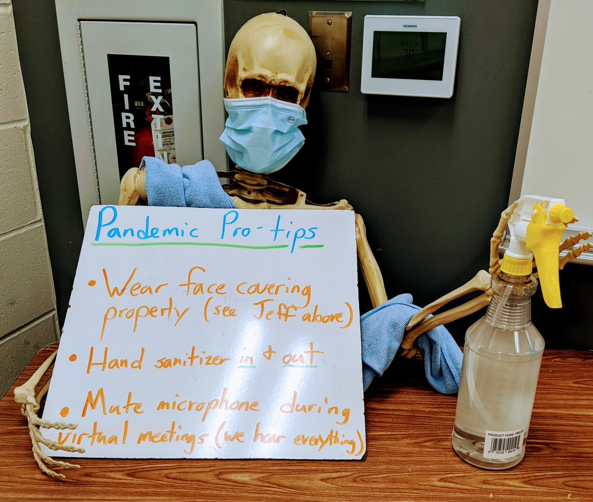 bricejensen's tweet photo. Setting up classroom - Class mascot is a little different this year but full of advice. https://t.co/MMBrB130Ge