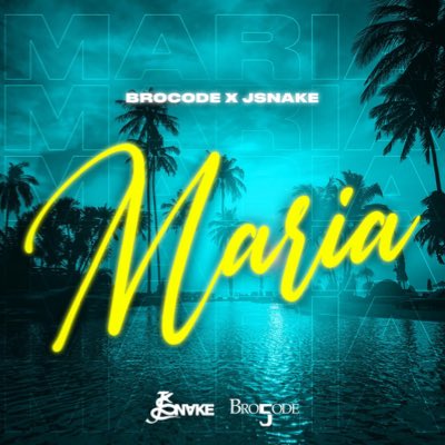 bro5code's tweet image. #NeuesProfilbild