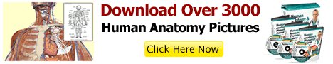 Jonilo35284593's tweet photo. https://t.co/bwEnOhZlY0
Human Anatomy &amp; Physiology Study Course https://t.co/rVOAVdkydt