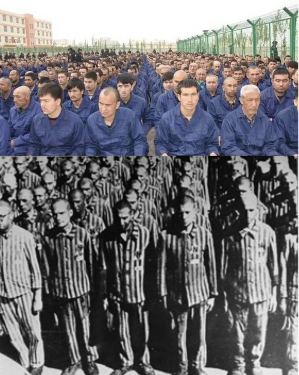 gergerlioglueng's tweet photo. @KuzzatAltay: Uighurs are easily sent to #China from #Turkey! #OFGTV
@Kuzzat_Altay @amnesty @hrw @KenRoth
#UyghurGenocide #ForcedLabor #EastTurkistan #Xinjiang #Uighur #Uyghur #Torture #Genocide #COVID19
@MevlutCavusoglu @MFATurkey @EminOnen @TurkEmbBeijing @ChinaEmbTurkey https://t.co/aSnoXayb87