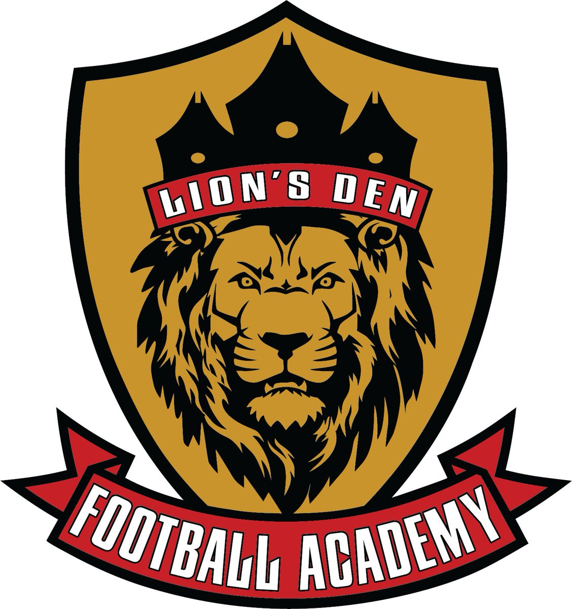 TeamSavage_Capo's tweet photo. Team Savage Elite and Lions Den Football Academy have partnered to bring camps and exposure combines to the 540 &amp; 434. We firmly believe that the talent level in these areas match up with all other areas in VA!! More info to come! #allgasnobrakes https://t.co/SgOL6tVnIi https://t.co/T8pYcwExGl