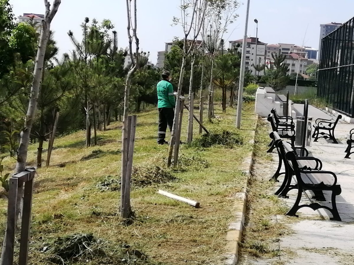 LisesiSeyh's tweet photo. Okulumuzun çevre ve bahçe temizliğini yapan, Bağcılar Belediyemize; veli, öğretmen ve öğrencilerimiz adına çok teşekkür ederiz...                      @Mustafa_Eldivan     @LokmanCagirici     @19_mstfylmz             @BagcilarMem           @BagcilarBld        @hasanbasturkce https://t.co/oJrFaaMCEK