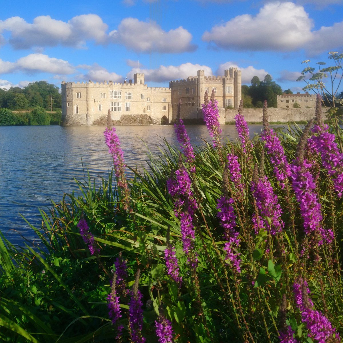 Leeds Castle, Kent tweet media