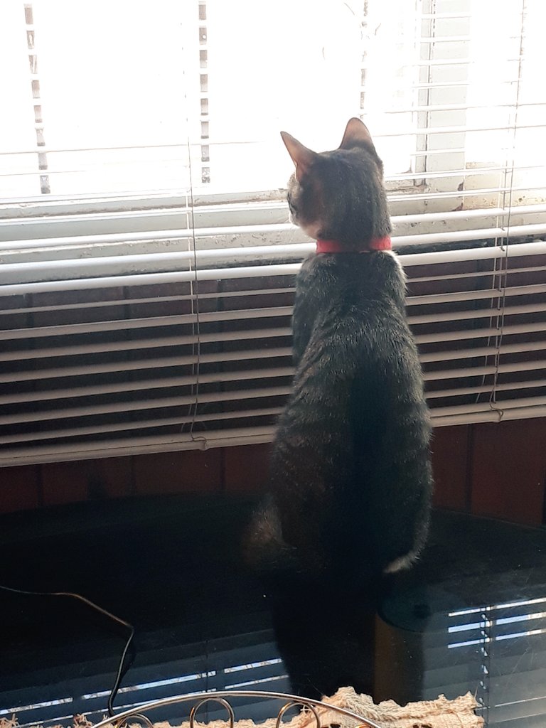 Más ganas de salir que el toto 😅 <a href="/Flodebia3/">Flo 🖤</a>