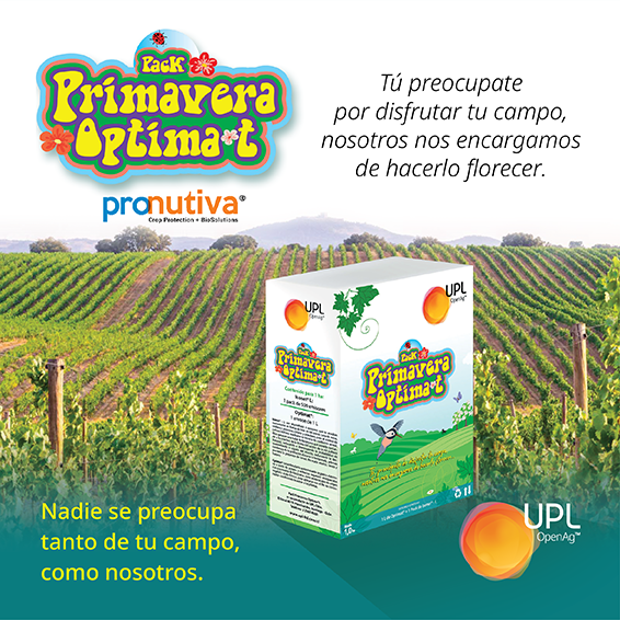 uplagro_chile's tweet photo. Conoce la Nueva Solución de UPL para vides. 🍇
🐝 Pack Primavera Optima –t, la solución para que sigas viendo florecer tu cultivo. 💮
Conoce las soluciones para el manejo de tu cultivo en 👉 https://t.co/IwG2MOS8Y2
#SolucionesUPL #IsonetL #Optimat #CultivoUva https://t.co/XACFT2stV2